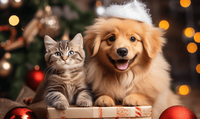 Pet_lovers_ _thumb_icon_1d81a680 3ffc 4f6a 9caf 575a0b0df5e2